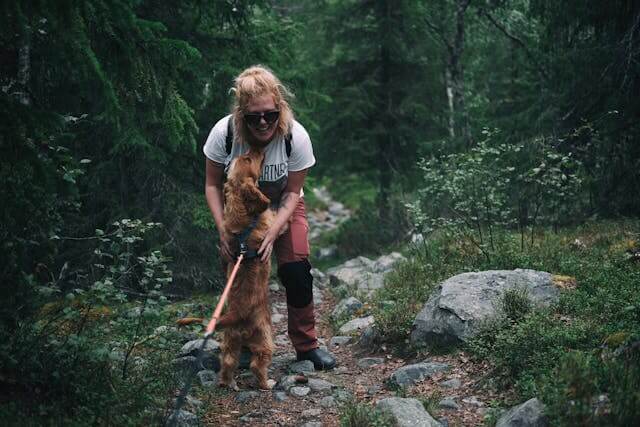 hiking with dog